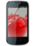 Best available price of Celkon A19 in Haiti